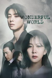Wonderful World: Season 1