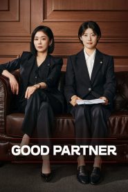Good Partner: Season 1