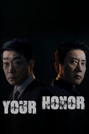 Your Honor: Season 1